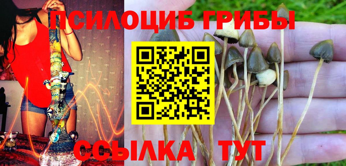 Галлюциногенные грибы мицелий  Вход с VPN  Балтийск 