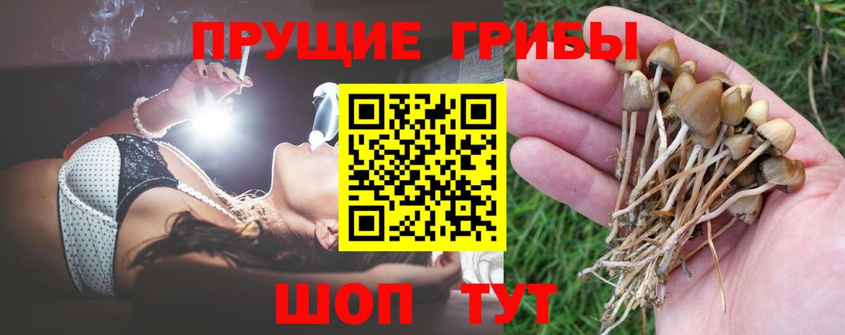 Купить наркотики  МЕФ кристаллы  Alpha-PVP СОЛЬ   Балтийск  ГАШИШ  НБОМе  Вход с VPN  ГАШИШ  Cocaine  МАРИХУАНА 