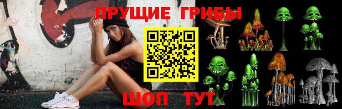 Псилоцибиновые грибы GOLDEN TEACHER Балтийск