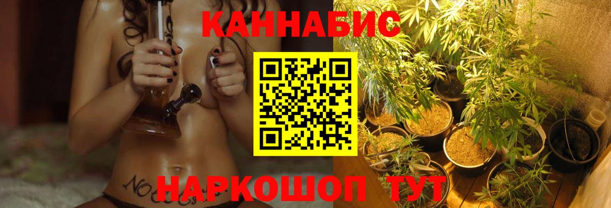 Марихуана конопля Балтийск